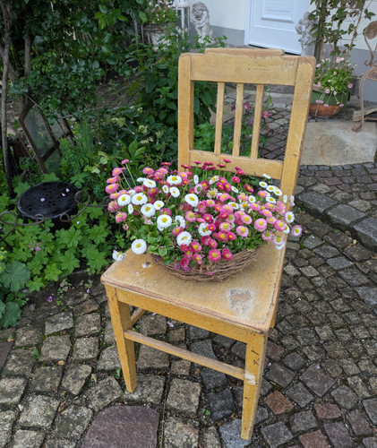 Stuhl shabby chic - top, patina